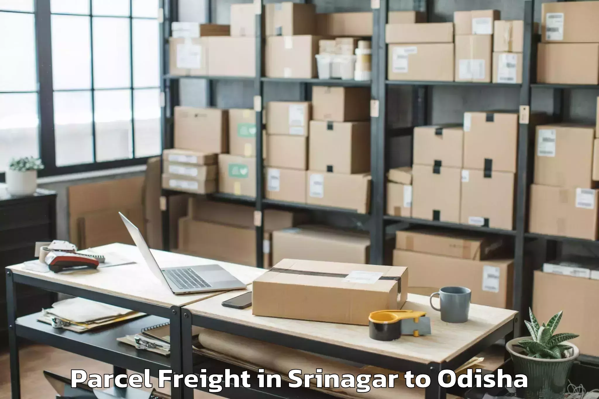 Comprehensive Srinagar to Utkal University Bhubaneswar Parcel Freight